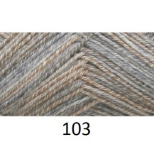 103_1