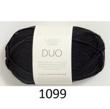 1099_duo