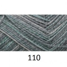 110_1