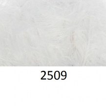 2509_leb