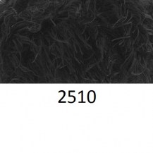 2510_leb