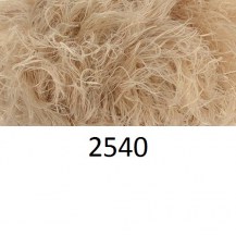 2540_leb