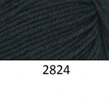 2824_ceta5