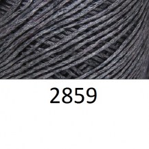 2859_softstar