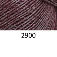 2900_softstar