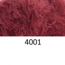 4001_leb