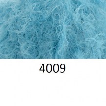 4009_leb