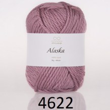 46229