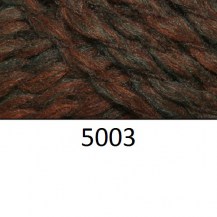 5003_is