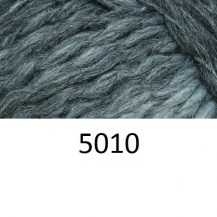 5010_is