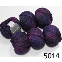 5014_is