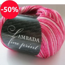_LAMBADA_FINE_PR_81