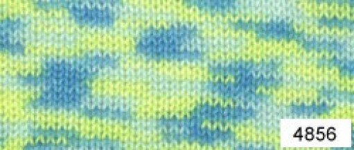 baby-print-4856