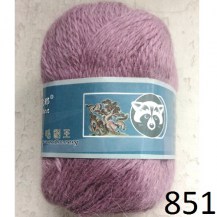 nor851